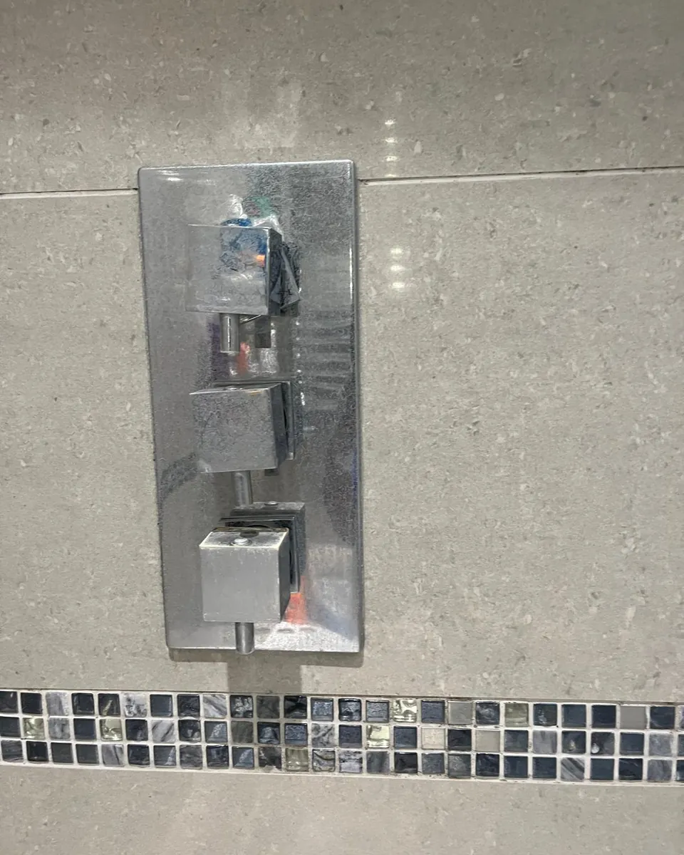 Shower valve before cleaning